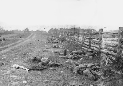 antietam dead.jpg